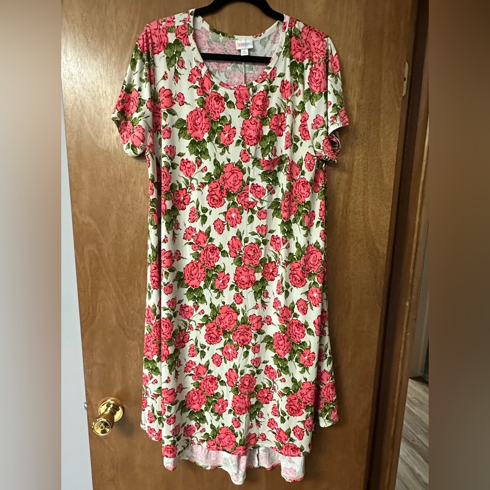 Stunning XL LuLaRoe Carly dress